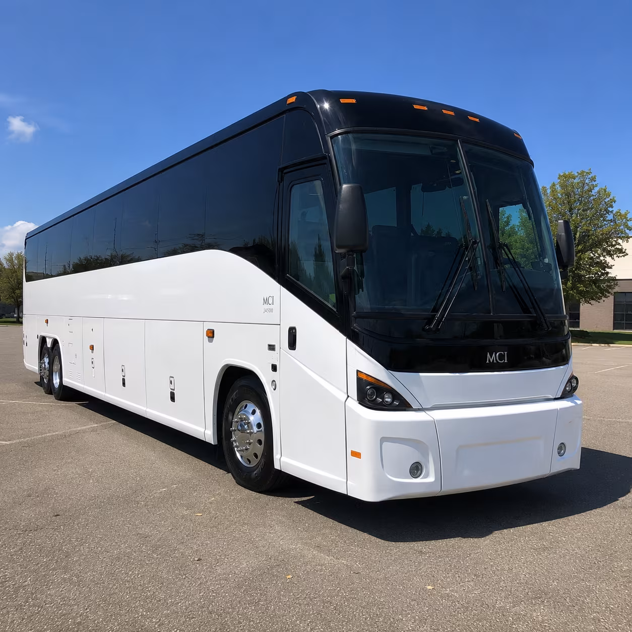 brownsville 45 passenger charter bus