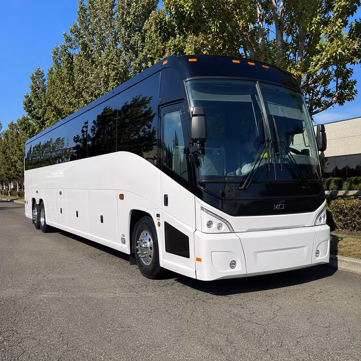 brownsville 50 passenger charter bus