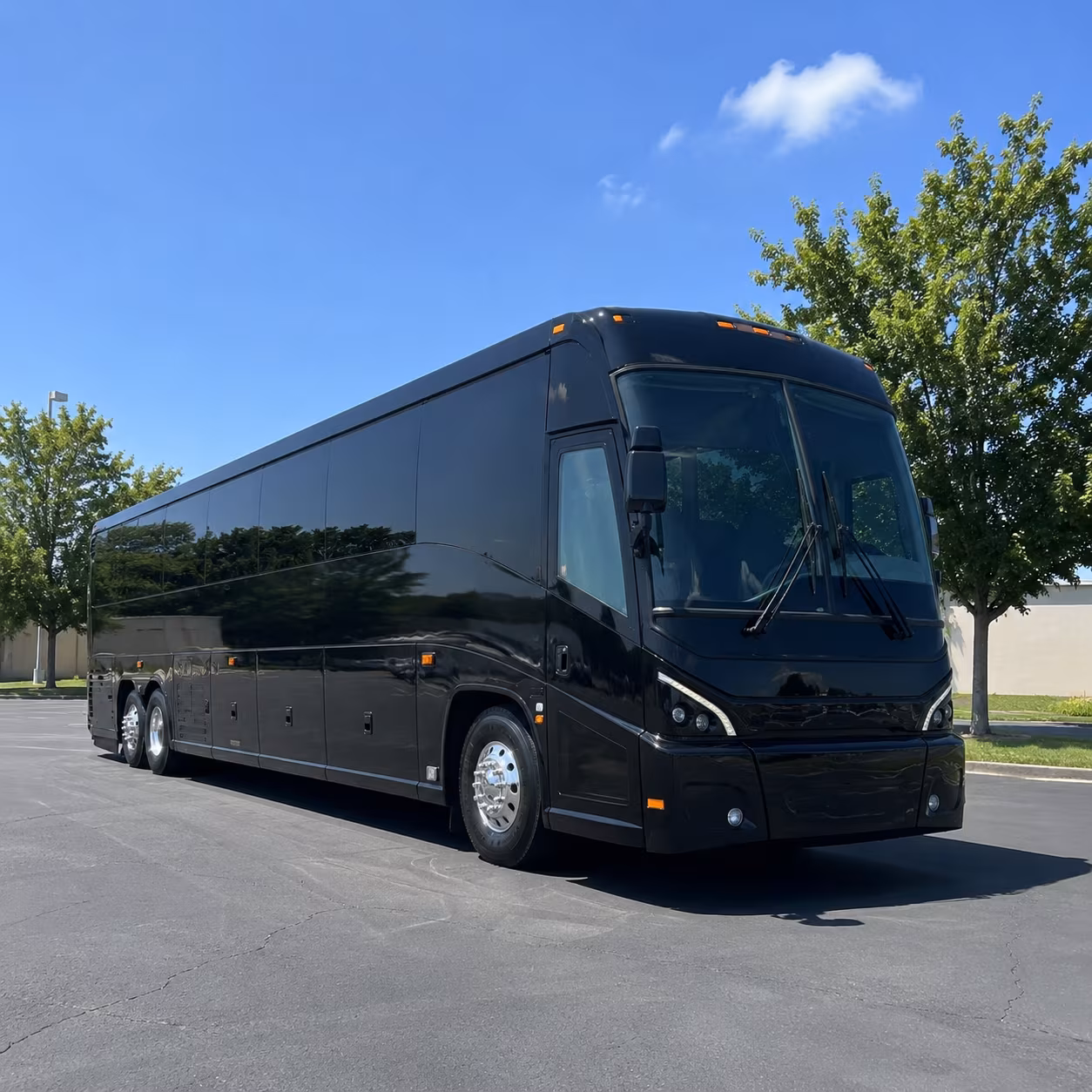 brownsville 56 passenger charter bus
