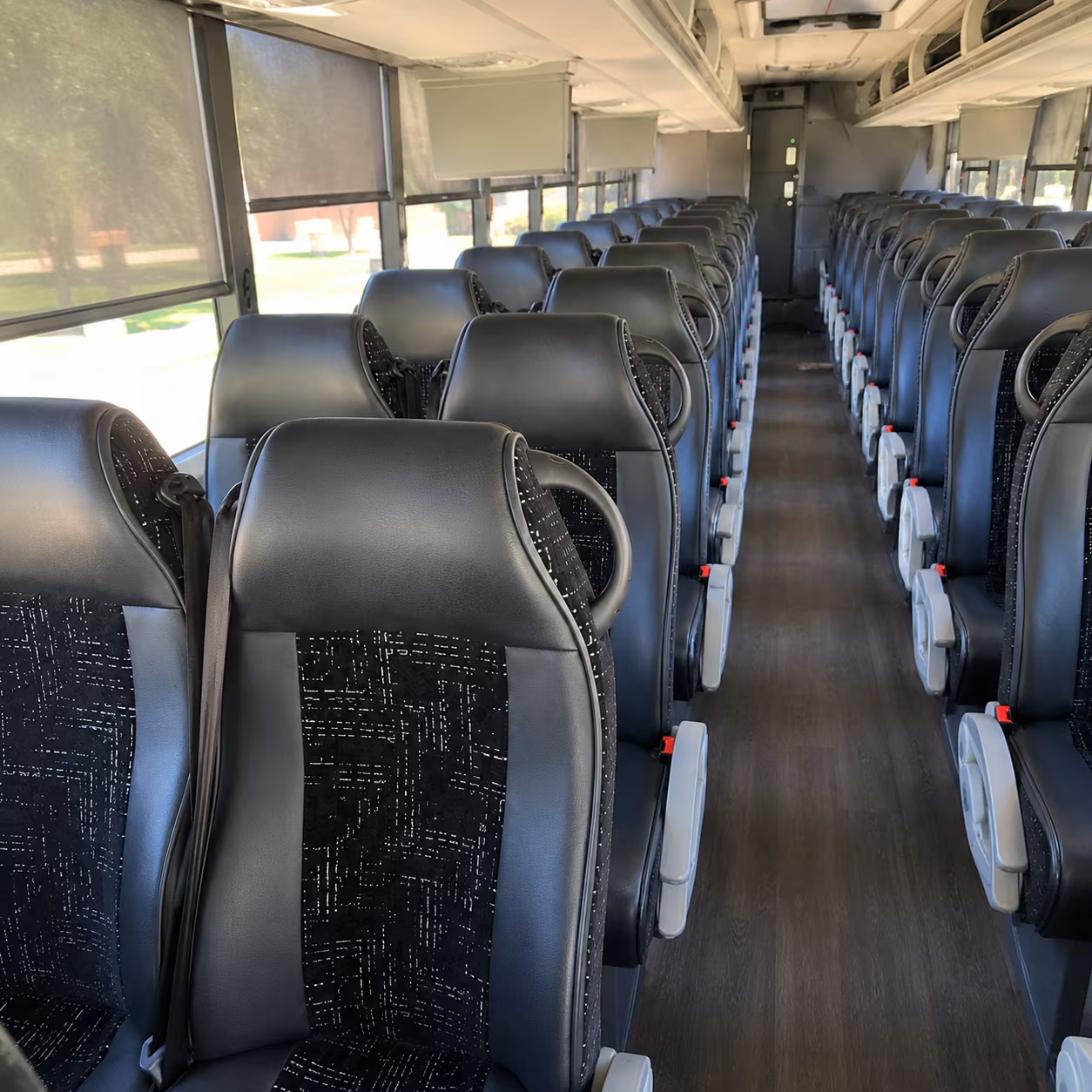 brownsville bachelor bachelorette transportation onboard