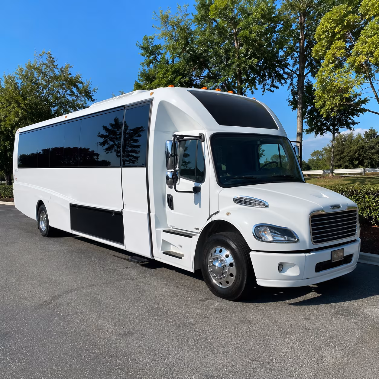 brownsville birthday party bus rental