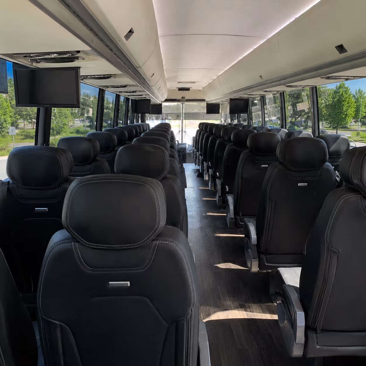 brownsville birthday party transportation onboard seating