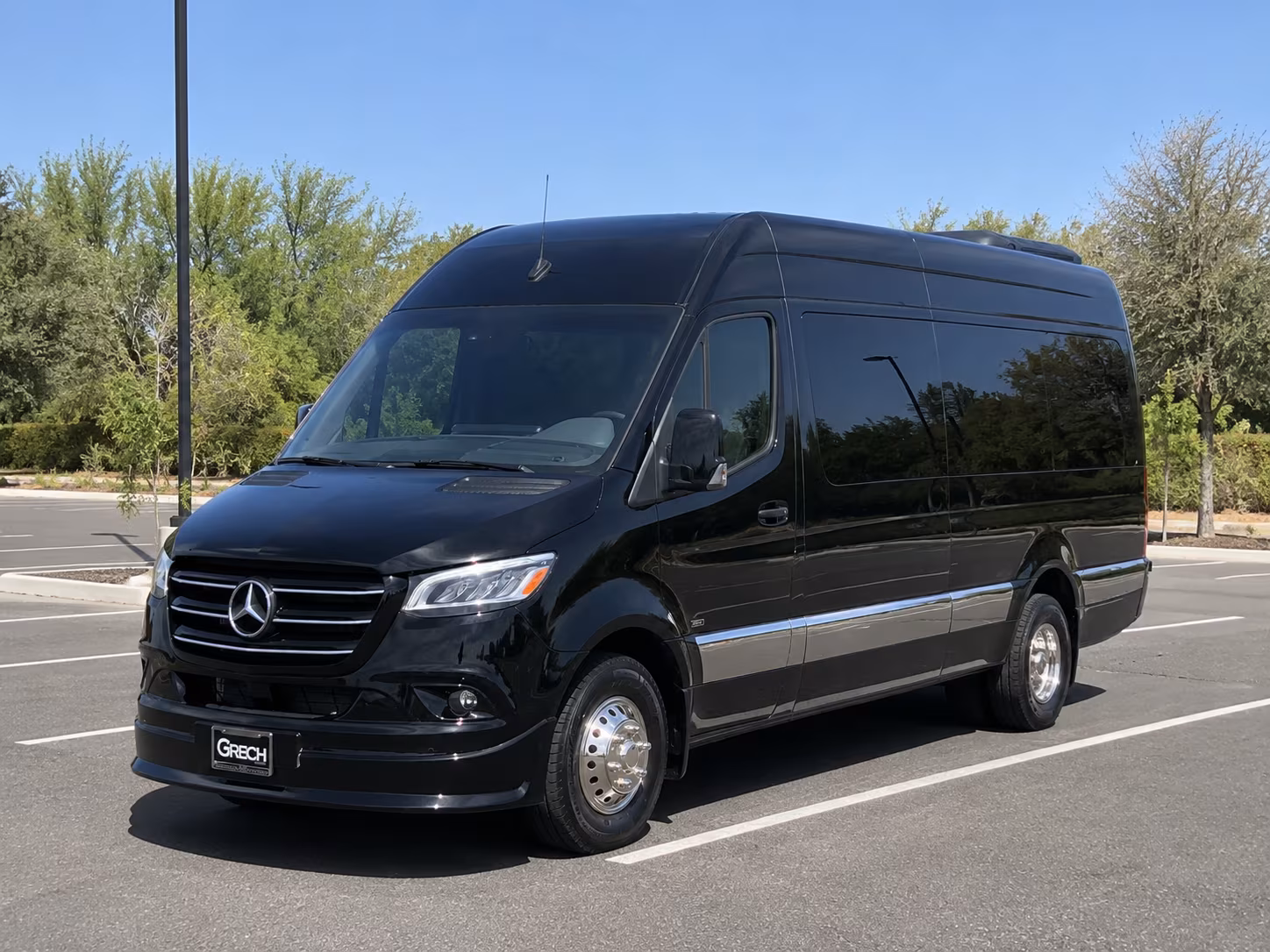 brownsville sprinter van with driver
