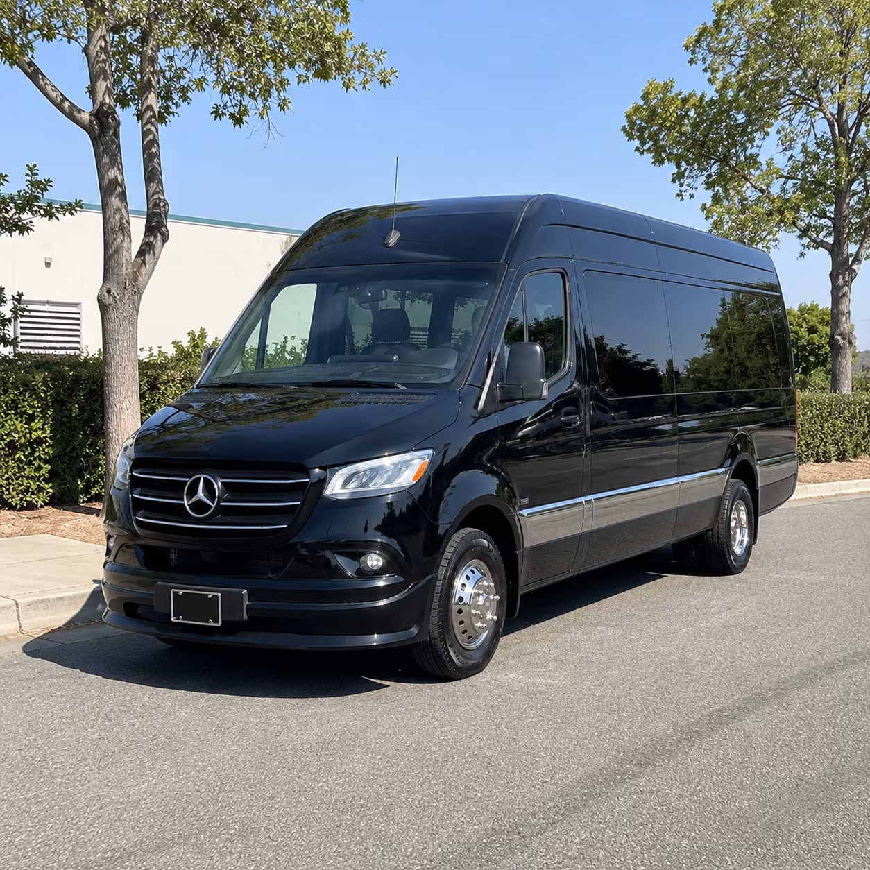 reserve transportation for your next birthday 5