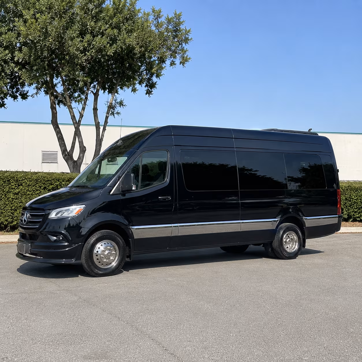 sprinter van rentals for brownsville wedding vip transportation